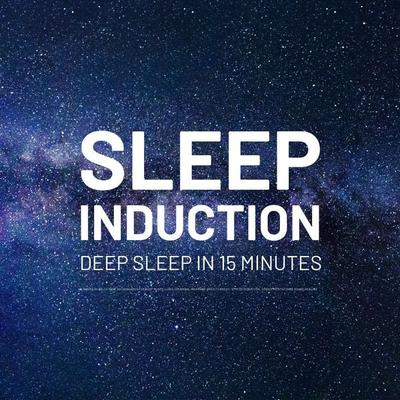 Sleep Induction - Deep Sleep in 15 Minutes - Binaural Sleep Music Productions, Audio, 4069828502581