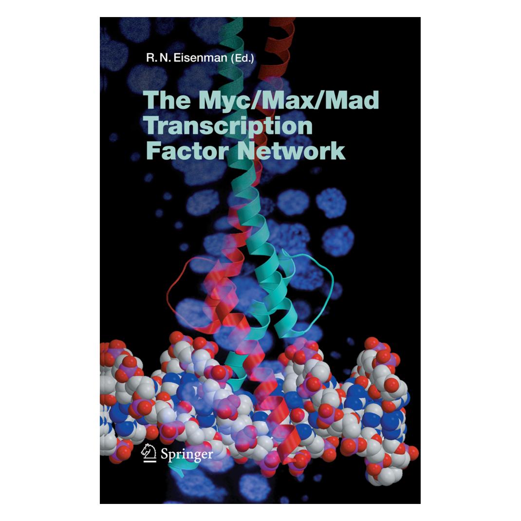 Springer The Myc/Max/Mad Transcription Factor Network (Englisch, Softcover, Robert N. Eisenman) (55573412)