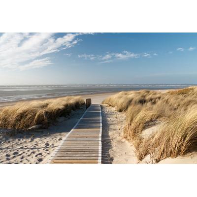 Fototapete PAPERMOON "Dunes in Langeoog", bunt, B:2,5m L:1,86m, Vlies, Tapeten