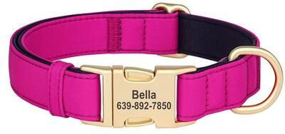Uplifted Finds Pro Tech Personalized Waterproof Dog Collar rose l