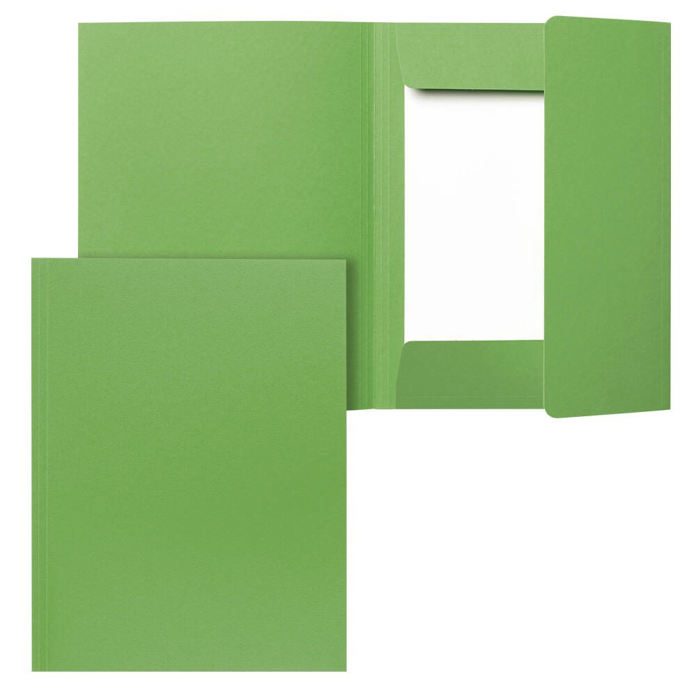 folia Sammelmappe DIN A4 grün, 1 St. 6654