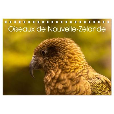 Oiseaux de Nouvelle-Zélande (Calendrier de bureau 2027 DIN A5 vertical), CALVENDO calendrier mensuel