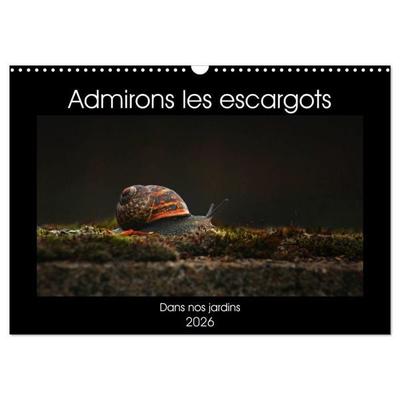 Admirons les escargots (Calendrier mural 2026 DIN A3 vertical), CALVENDO calendrier mensuel
