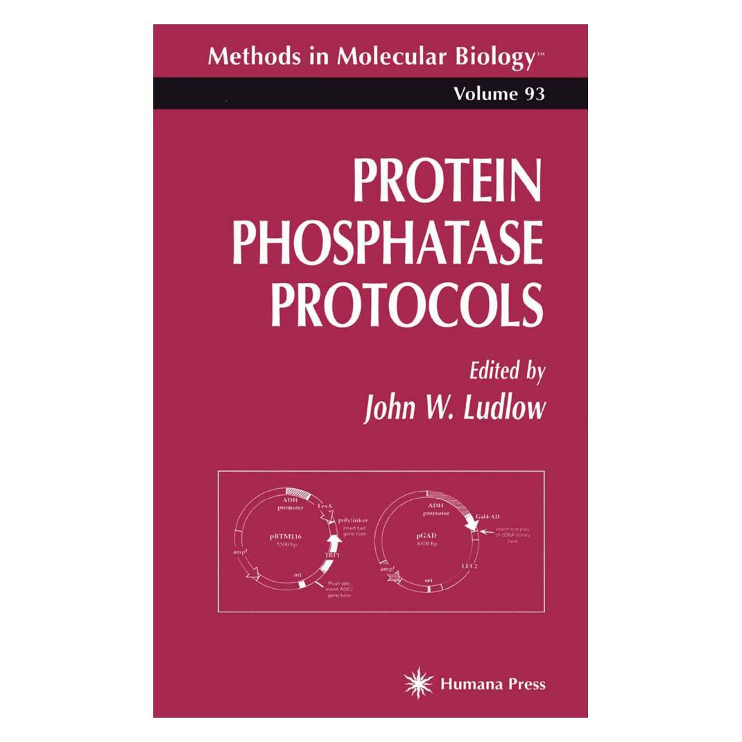 Springer Protein Phosphatase Protocols (Englisch, Softcover, John W. Ludlow) (55560418)