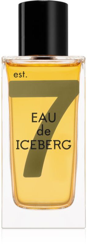 Iceberg Eau de Iceberg Amber Eau de Toilette pour homme 100 ml