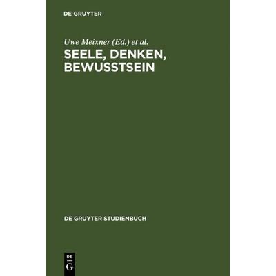 Seele, Denken, Bewusstsein, Gebundene Ausgabe von Uwe Meixner,Albert Newen, De Gruyter, 978-3-11-017405-2