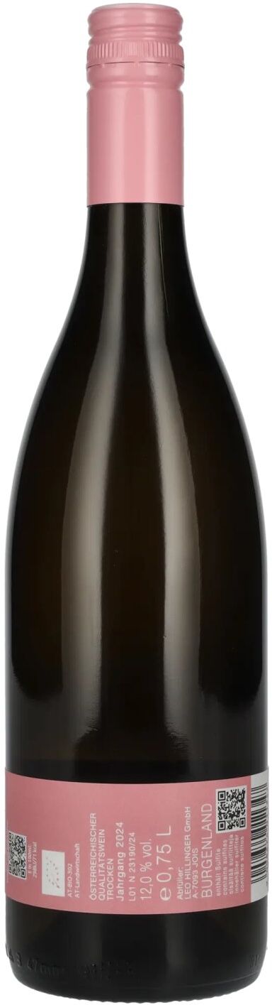 Leo Hillinger Hillinger Pinot Noir Blanc de Noir 2024 12% Vol. 0,75l