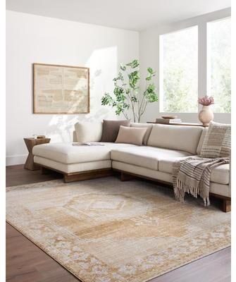 Livabliss Fifth Avenue Traditional Area Rug