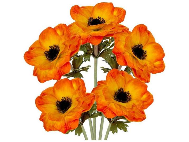 Kunstblumen 5er Set Anemonen Orange 53 cm, Kunststoff, 53 cm, Dekoration, Blumen & Blumentöpfe, Kunstblumen