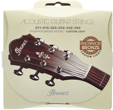 Ibanez IACSP62C Acoustic Steel