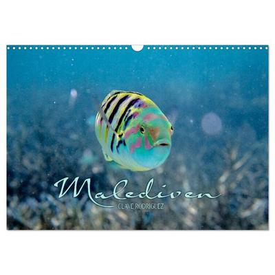 Unterwasserwelt der Malediven II (Wandkalender 2026 DIN A3 quer), CALVENDO Monatskalender