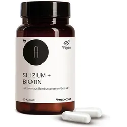 SILIZIUM+BIOTIN Kapseln 60 St