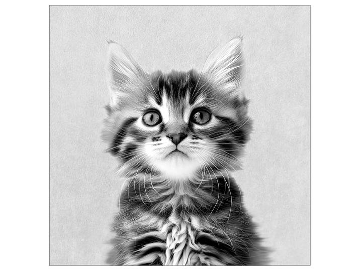 Tableau Chat tendre I Cadre : panneau de fibres de bois MDF Revêtement : toile Gris 40 x 40 x 2cm