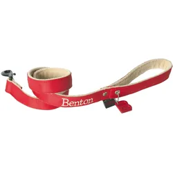 Martin Sellier Benton (Hund, Allgemein, Spazieren), Halsband + Leine