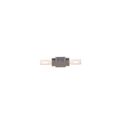 BOSCH Sicherung 1987531007