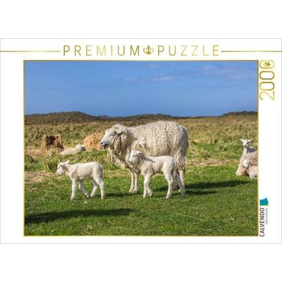 CALVENDO Puzzle Schafidylle im Naturschutzgebiet Ellenbogen auf Sylt | 2000 Teile Lege-Größe 90 × 67 cm Foto-Puzzle für glückliche Stunden