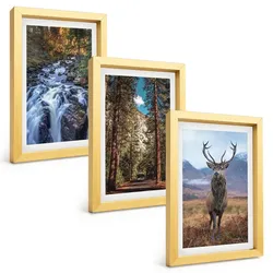 BILDER SET 3er Set - 20x30 cm Goldrahmen - Wasserfall Wald Berge Hirsch Natur