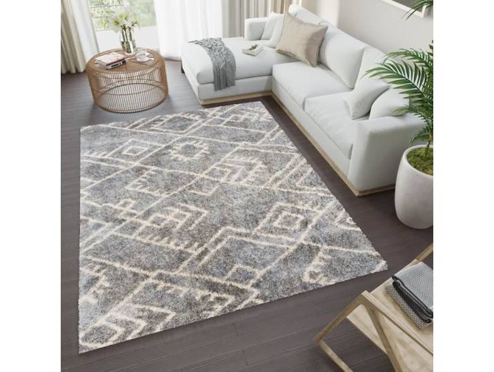 TAPISO Tapis Salon Poils Longs VERSAY Gris Crème Shaggy Polypropylène Intérieur 120x170 cm