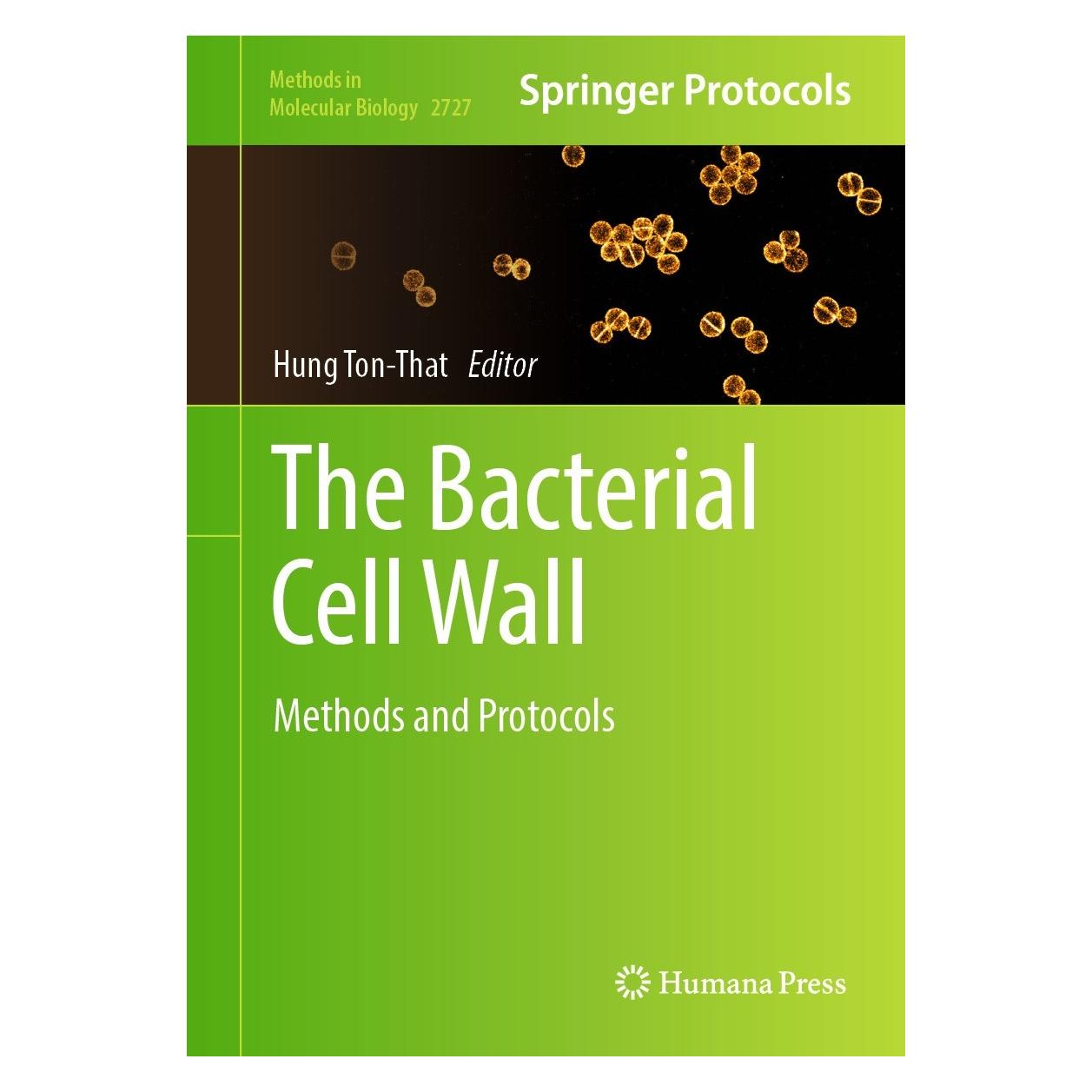 Springer The Bacterial Cell Wall (Englisch, Hardcover, Hung Ton-That) (9781071634905)