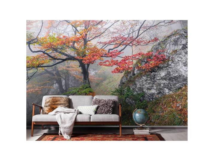 Vlies Fototapete Euphoria 300 x 200cm
