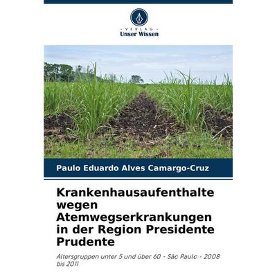 Krankenhausaufenthalte wegen Atemwegserkrankungen in der Region Presidente Prudente, Taschenbuch von Paulo Eduardo Alves Camargo-Cruz, Verlag Unser