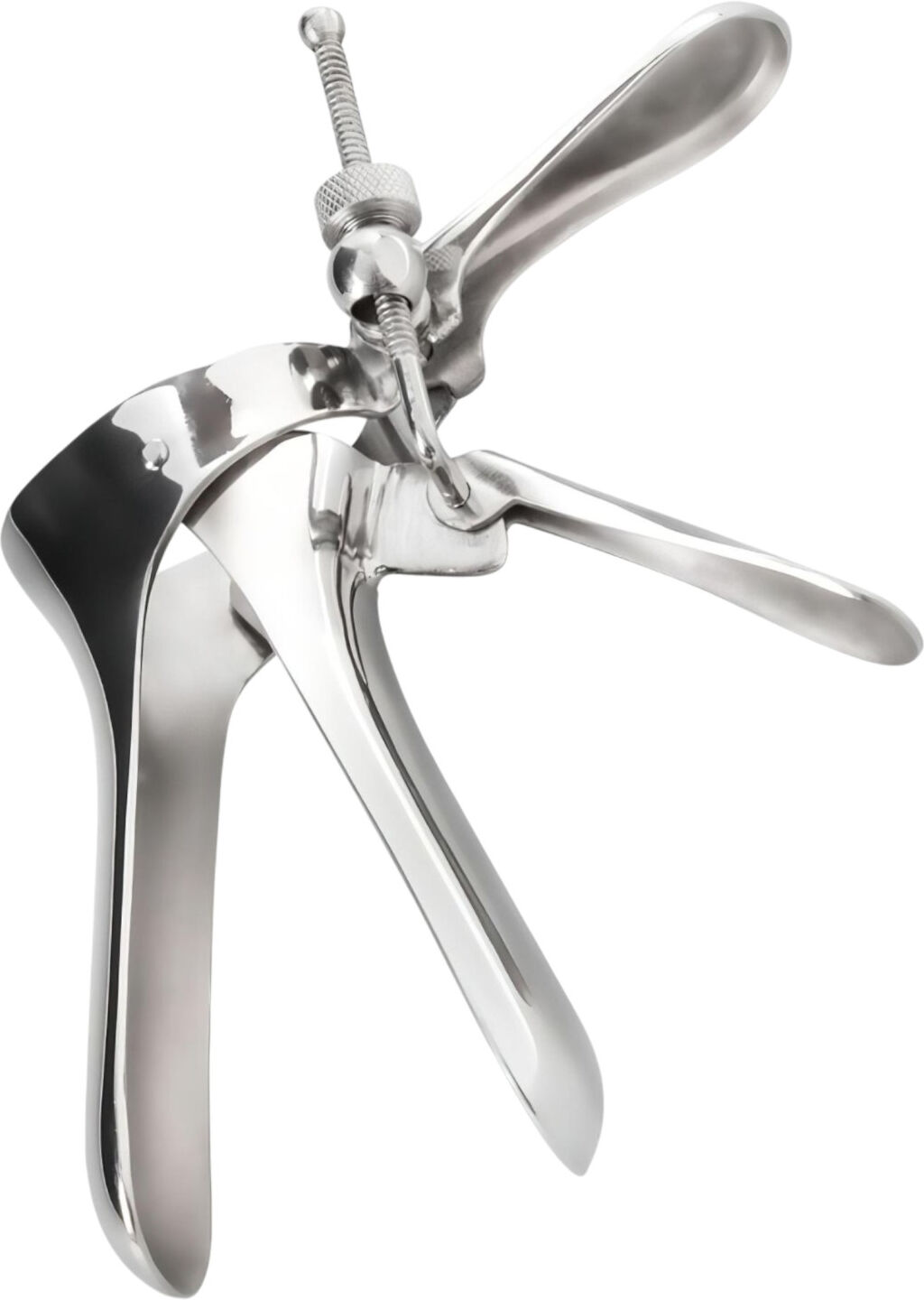 SINNER - vagina duck - large (silver)