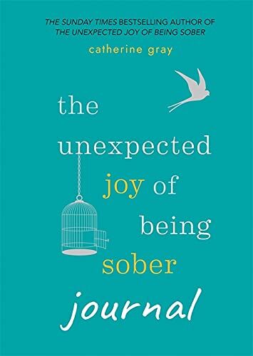 Aster The Unexpected Joy of Being Sober Journal by Catherine Gray - Guided Sobriety Journal - Paperback - Dry January Recovery Gift