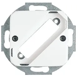 Busch-Jaeger Zentralscheibe aws 2549-214