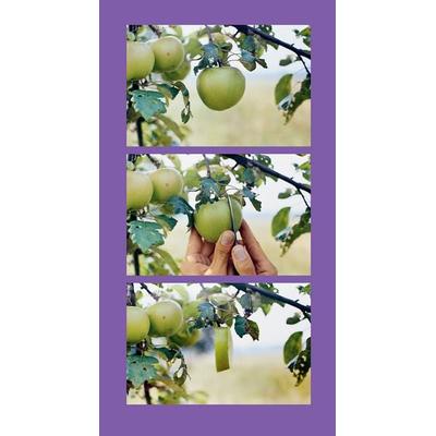 Helmut Schweizer: Handlungen / Actions, Gebundene Ausgabe von Steffen Siegel, Spector Books, 978-3-95905-954-1
