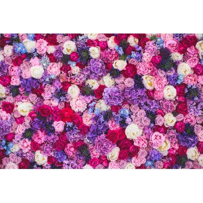 Fototapete PAPERMOON "Blumen", bunt, B:5m L:2,8m, Vlies, Tapeten