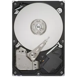 Seagate Pipeline HD ST3320311CS (0.32 TB, 3.5"), Festplatte