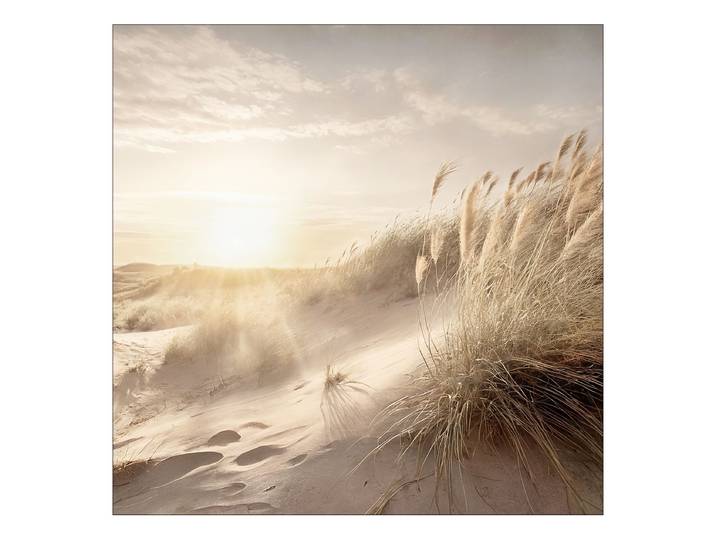Tableau verre Dune Grass At Sunrise Verre flotté Vert/Jaune/Beige 80 x 80 x 1cm