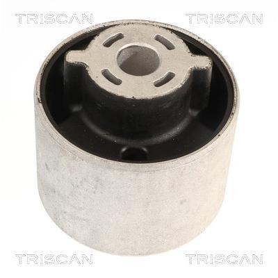 TRISCAN Lagerung, Lenker 850081819 für Tesla