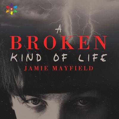 A Broken Kind of Life (Unabridged) - Jamie Mayfield, Audio, 4071498921104