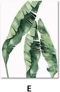 Uplifted Finds Nordic Green Plants Canvas Wall Art   Monstera & Banana Leaf Botanical Prints e 20 X 30 Cm No Frame