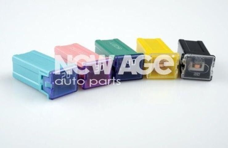 NEW AGE 252/1/30A Fuse