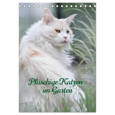 Plüschige Katzen im Garten (Tischkalender 2027 DIN A5 hoch), CALVENDO Monatskalender
