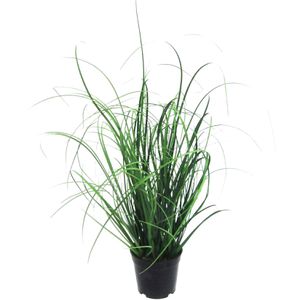 Creativ-green Kunstpflanze Grasbusch, im Topf, Höhe 40 cm, 3 Stück