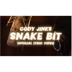 Various Publishers, Schallplatten, In My Blood (Cody Jinks)