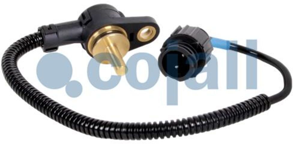 Sensor COJALI 2260658