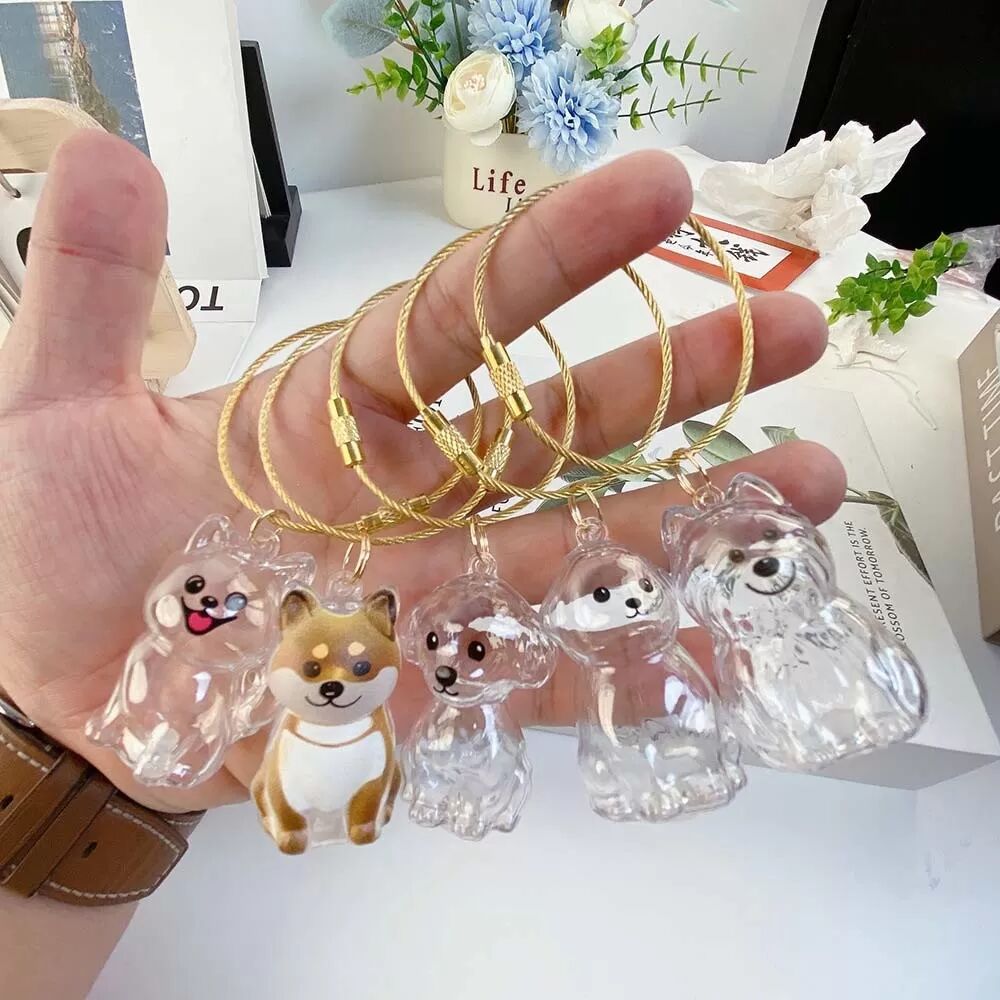 INF Boîte de Rangement Transparente pour Poils d'Animaux - Chat Mignon, Souvenir Précieux