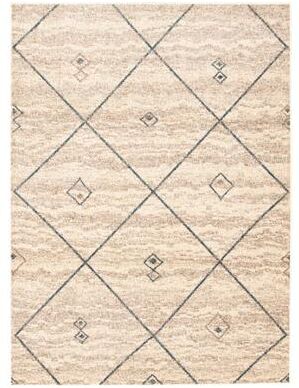 ECARPETGALLERY Devos Casual & Transitional Rug