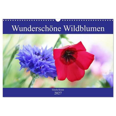 Wunderschöne Wildblumen (Wandkalender 2027 DIN A3 quer), CALVENDO Monatskalender
