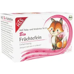 H&S Früchtefein Bio 20X2,5 g