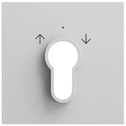 Gira Schlüsselschalter/-taster 066476