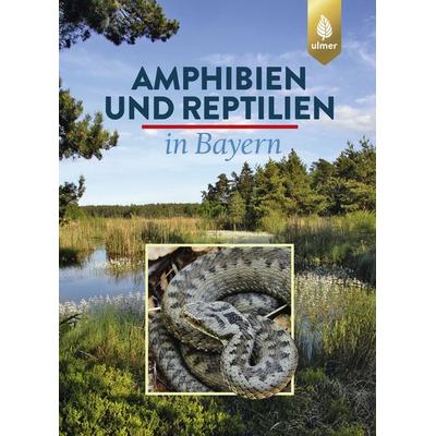 Amphibien und Reptilien in Bayern, Gebundene Ausgabe von Eberhard Andrä,Otto Assmann,Thomas Dürst,Günter Hansbauer,Andreas Zahn, Verlag Eugen Ulmer,