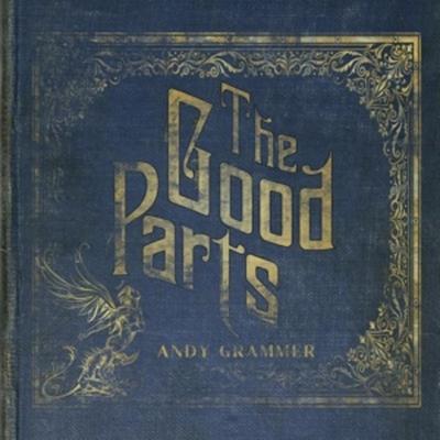 The Good Parts - Andy Grammer, Vinyl