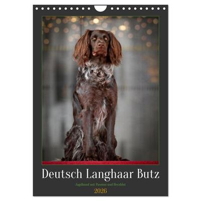 Deutsch Langhaar Butz - Jagdhund mit Passion und Herzblut (Wandkalender 2026 DIN A4 hoch), CALVENDO Monatskalender