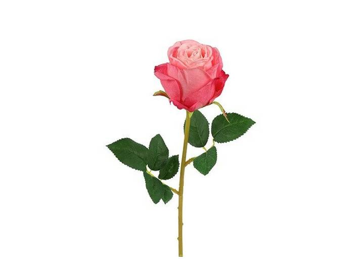 Countryfield zijden compasion roos 60 cm roze