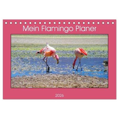 Mein Flamingo Planer (Tischkalender 2026 DIN A5 quer), CALVENDO Monatskalender